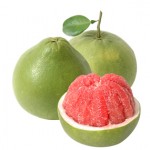 CTY CP Nông nghiệp hữu cơ Bách Thiên