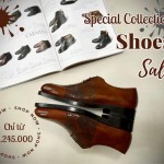 Công Ty TNHH MTV CATLONGS