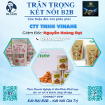 Công Ty TNHH VINAHE