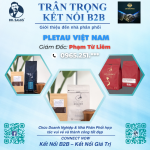 PLETAU Việt Nam
