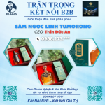 Sâm Ngọc Linh TOMORONG